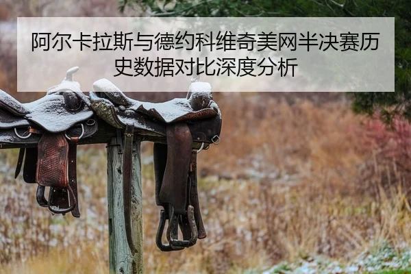 阿尔卡拉斯与德约科维奇美网半决赛历史数据对比深度分析
